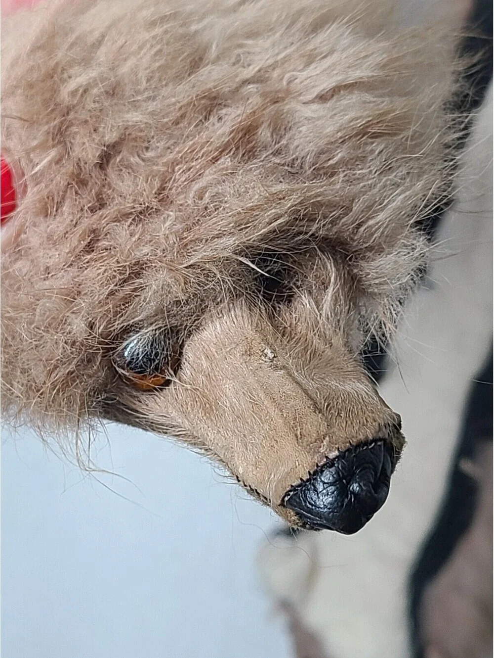 Vtg 40s Sable Mink Fur Sew On Collar Fluffy Taupe Tan Two Whole Pelts Genuine
